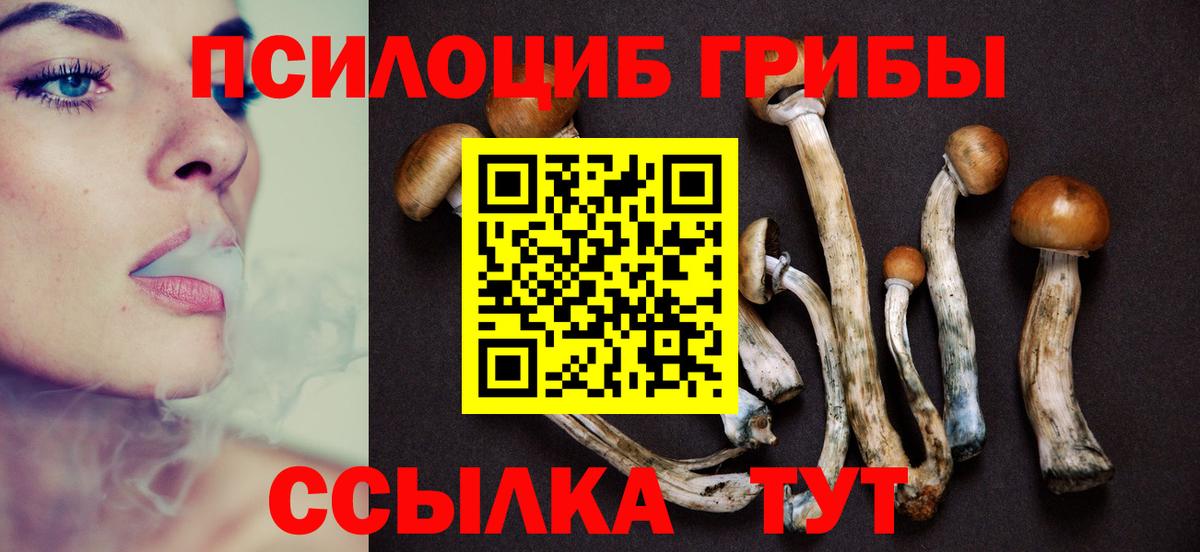 Псилоцибиновые грибы Psilocybine cubensis  Галлюциногенные грибы GOLDEN TEACHER  Вход с VPN  Краснокаменск 